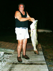 Snook